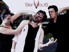 Five Sensibus