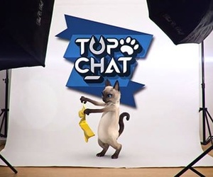 Top Chat