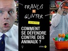 Francis & Gunter - comment se défendre contre des animaux ?