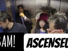BAM! - Ascenseur