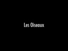 JeanJean Acteur de complément - les oiseaux